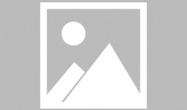 娱乐吃瓜健康养生小说